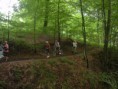 /album/diverse-billeder-fra-vore-ture/skov-t-banner-jpg2/